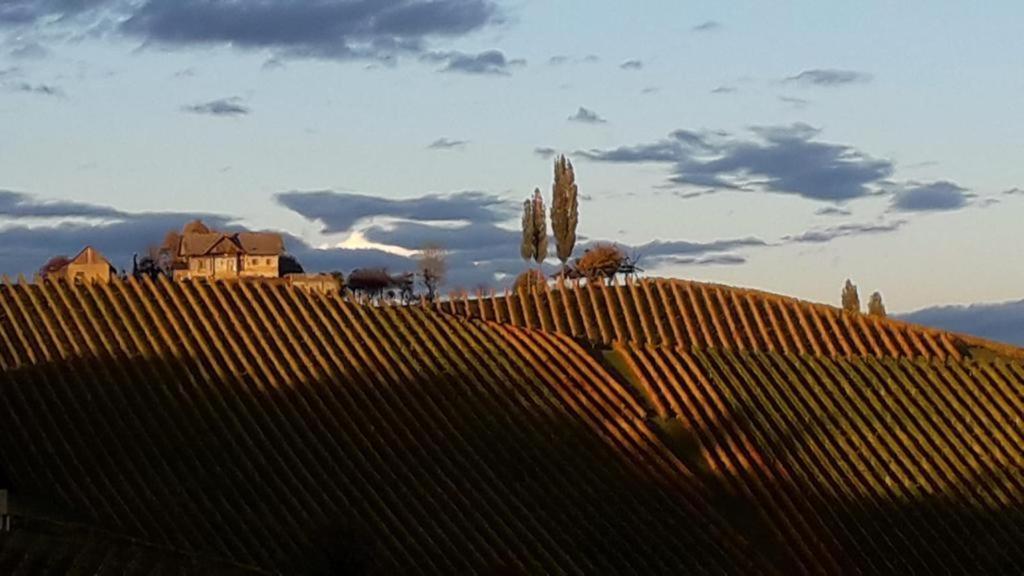 Glanz Und Gloria Weingartenapartment An Der Kellerstrasse, Viele Buschenschaenke, Sehr Ruhige Lage, Herrliche Aussicht! Leutschach Εξωτερικό φωτογραφία