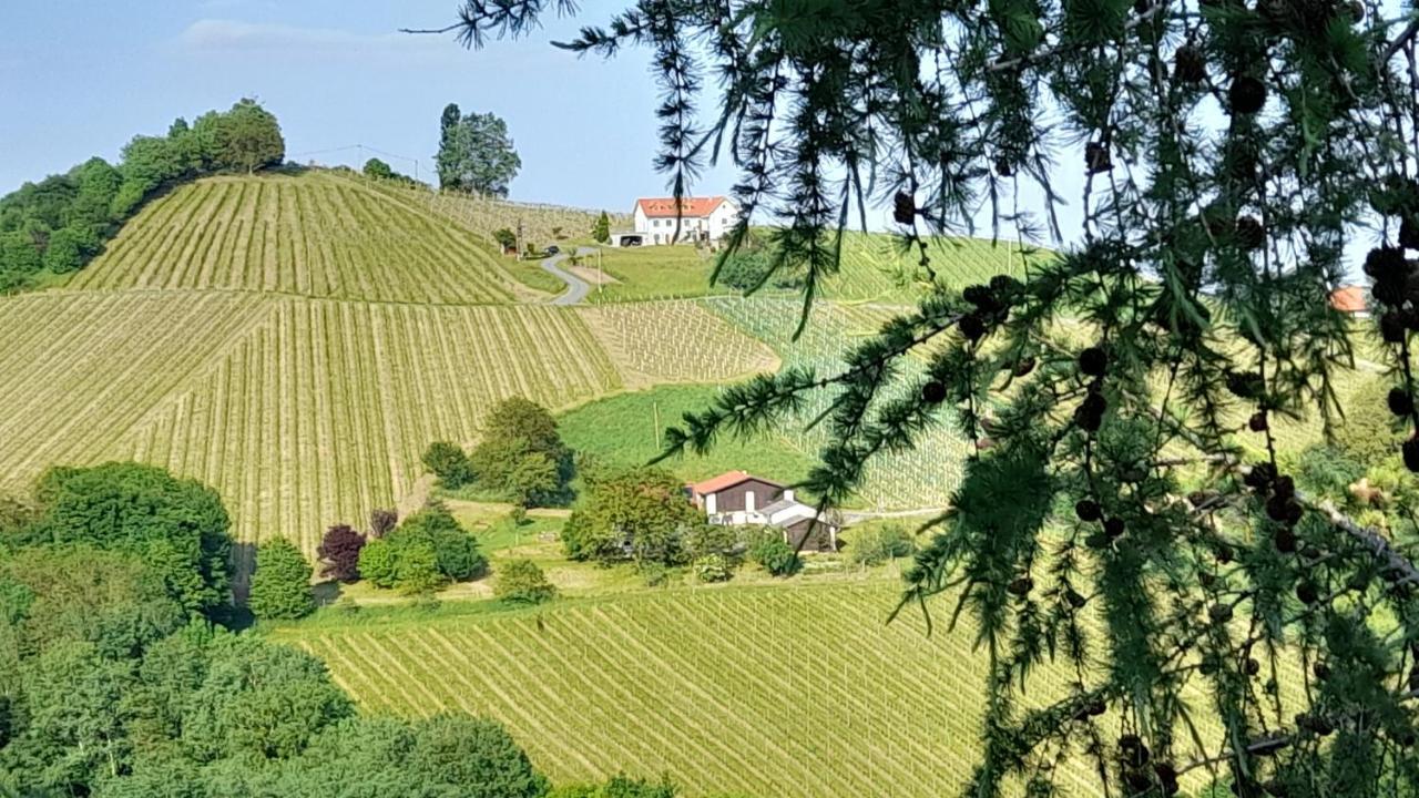 Glanz Und Gloria Weingartenapartment An Der Kellerstrasse, Viele Buschenschaenke, Sehr Ruhige Lage, Herrliche Aussicht! Leutschach Εξωτερικό φωτογραφία