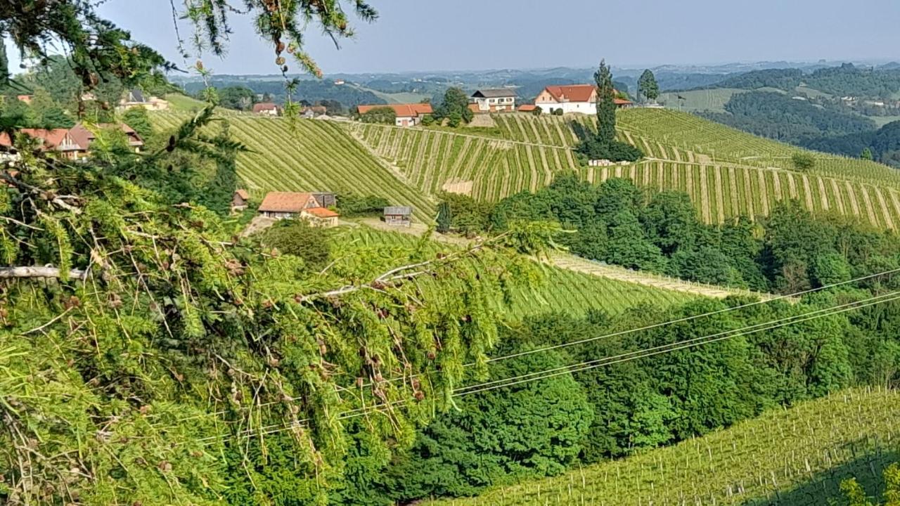Glanz Und Gloria Weingartenapartment An Der Kellerstrasse, Viele Buschenschaenke, Sehr Ruhige Lage, Herrliche Aussicht! Leutschach Εξωτερικό φωτογραφία